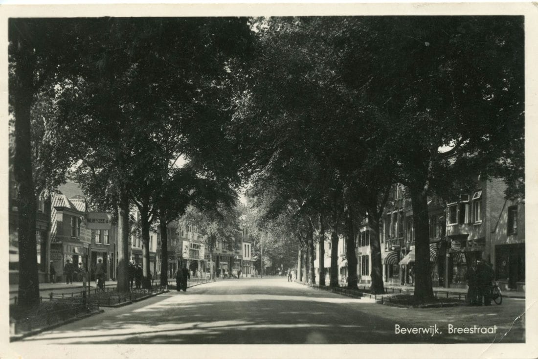 11923
