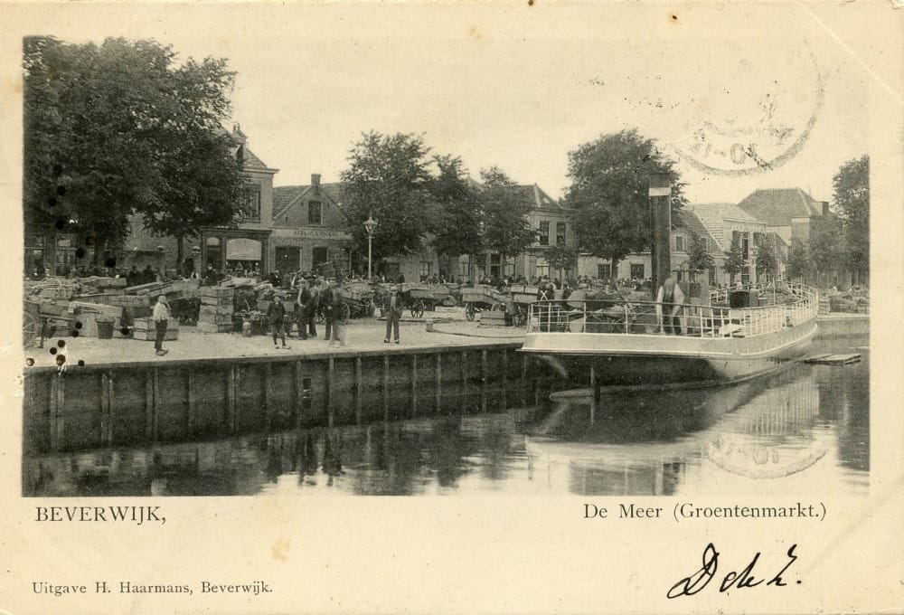 10423