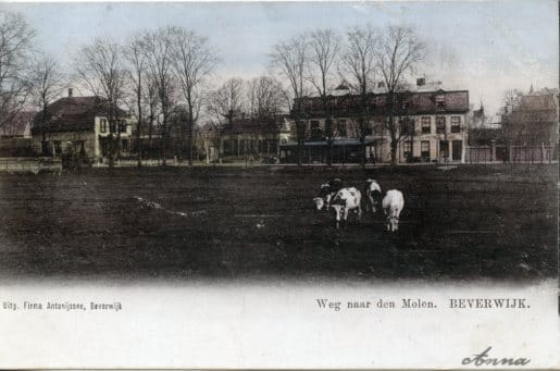11895